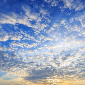 Test eines einfachen Produkts, das in das Paket aufgenommen werden soll.