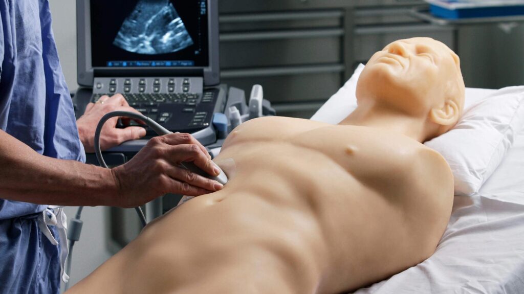 Trainingsmodell für Echokardiographie und Perikardiozentese, TTE und TEE