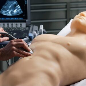 Echocardiography & Pericardiocentesis Training Model, TTE & TEE