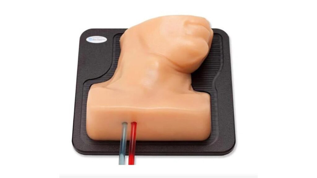 Internal Jugular Central Line Ultrasound Training Model, opaque