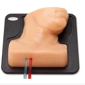 Internal Jugular Central Line Ultrasound Training Model, opaque
