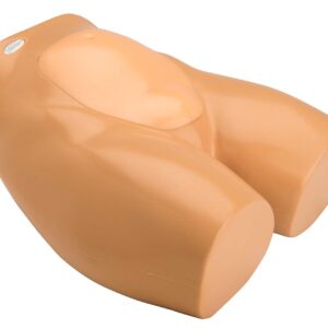 Amniocentesis Ultrasound Training Model