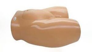 Ultraschall-Trainingsmodell zur perkutanen Nabelschnurblutentnahme