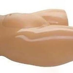 Percutaneous Umbilical Cord Blood Sampling Ultrasound Training Model