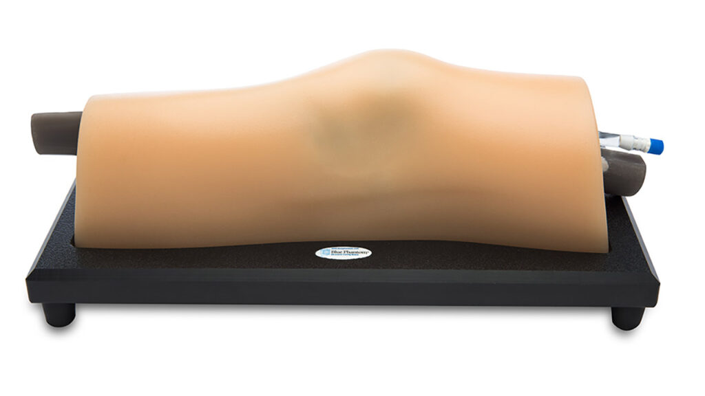 MSK Knee Ultrasound Training Model