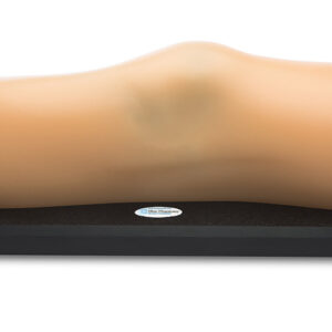 MSK Knee Ultrasound Training Model