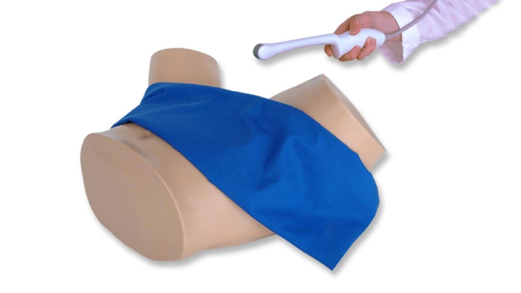 IUP & Ectopic Pregnancy Transvaginal Ultrasound Training Model