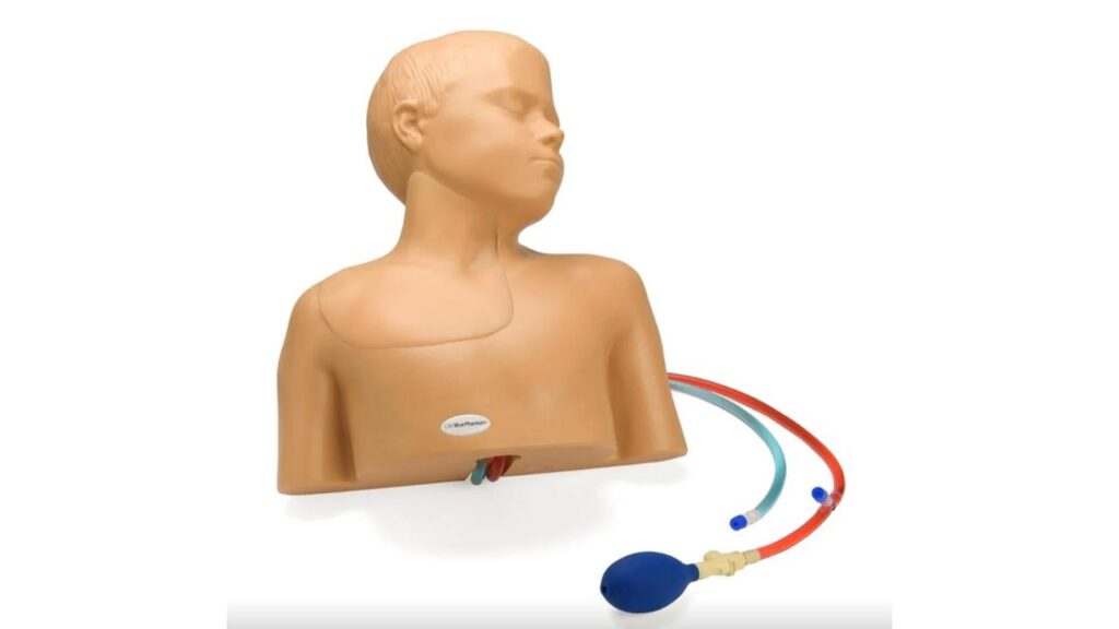 Pediatric Regional Anesthesia and Central Line Ultrasound Training Model