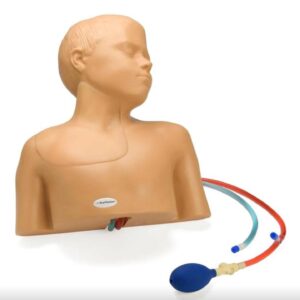 Pediatric Regional Anesthesia and Central Line Ultrasound Training Model