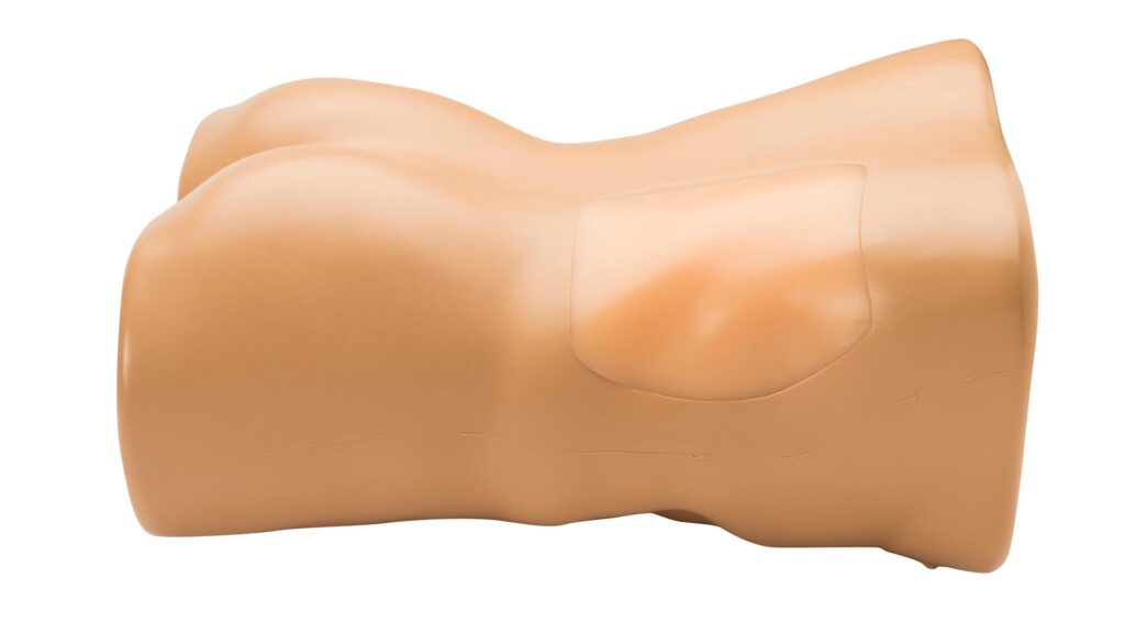 Renal Biopsy Ultrasound Training Model