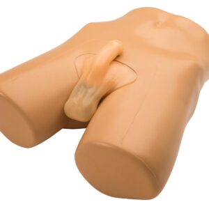 Scrotal Ultrasound Training Model