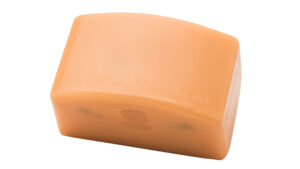 Trainingsmodell für Schilddrüsenbiopsie-Ultraschall