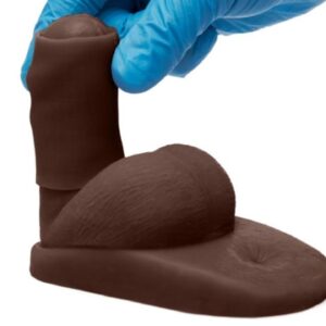 Scrotal Hygiene Model Mix Package with Foreskin & Without Foreskin