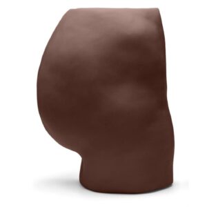 Gluteal Intramuscular Injection Model Mix Package