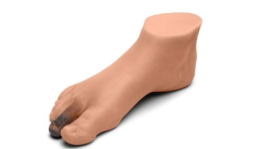 Adult Foot, Diabetic - 3 PC Mix Package