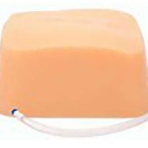 BPRB2012-Renal-Biopsy-RP-Insert